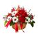 Утопия. Свежие белые хризантемы и ярко-красные гвоздики создают прекрасный контраст в этой восхитительной корзине.. Окленд